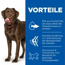 Hills Science Plan Canine Adult Healthy Mobility Large Breed Huhn Trockenfutter 14 Kg Trockenfutter 7 Hills Science Plan Canine Adult Healthy Mobility Large Breed Huhn Trockenfutter 14 Kg Trockenfutter -ROYAL CANIN Verkäufe rMHVNflOd8Kg 52742026015 3