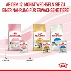 Royal Canin Kitten Frischebeutel Mousse 12 X 85 G Mousse Frischebeutel -ROYAL CANIN Verkäufe sdkgjfX5xfMh 9003579003831 4505 8