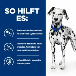 Hills U/d Trockenfutter Für Hunde 4 Kg Trockenfutter Für Hunde -ROYAL CANIN Verkäufe tRNipihB8PK5 52742046846 4