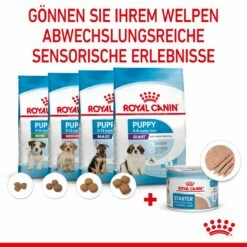 Royal Canin Starter Ultra Soft Mousse Für Welpen 12 X 195 G -ROYAL CANIN Verkäufe tvOHDJBAvpgi 9003579020036 4300 5