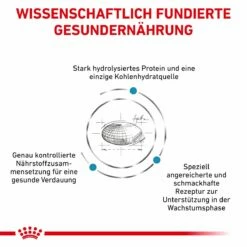 Royal Canin Hypoallergenic Puppy Trockenfutter Für Hunde 1,5 Kg Trockenfutter Für Hunde 11 Royal Canin Hypoallergenic Puppy Trockenfutter Für Hunde 1,5 Kg Trockenfutter Für Hunde -ROYAL CANIN Verkäufe vfeN5MMLofuN 3182550939010 5824 3