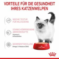 Royal Canin Kitten Frischebeutel Mousse 12 X 85 G Mousse Frischebeutel -ROYAL CANIN Verkäufe wOlfc1EfdSZt 9003579003831 4505 4