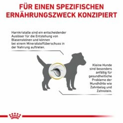 Royal Canin Urinary S/O Small Dogs Hundefutter 1,5 Kg Trockenfutter Für Hunde -ROYAL CANIN Verkäufe xOcU0RVhGjm6 3182550780971 358 8