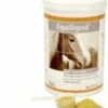 Alfavet EquiDigest Für Pferde 1000ml EquiDigest Liquid -ROYAL CANIN Verkäufe z4R3hBPD5mA7 51766bf5193794fed36bfeb8 1