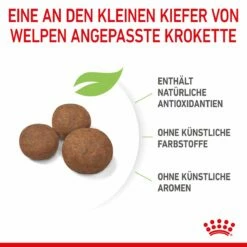 Royal Canin Medium Puppy Für Welpen Mittelgroßer Hunderassen 4 Kg Trockenfutter -ROYAL CANIN Verkäufe zqaPNdxNhtcB 3182550402132 2905 5